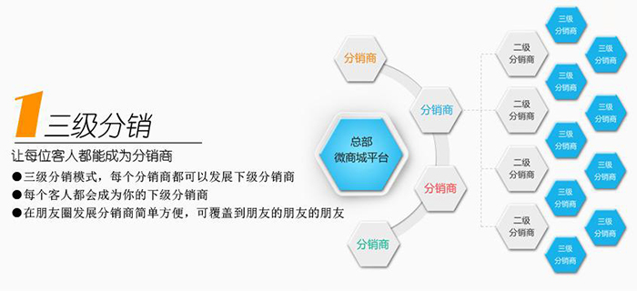 健康貓分銷系統(tǒng)